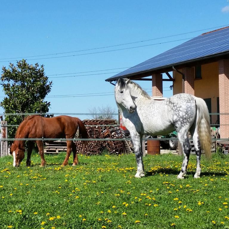 Willa Agriturismo Santa Barbara Mira Zewnętrze zdjęcie